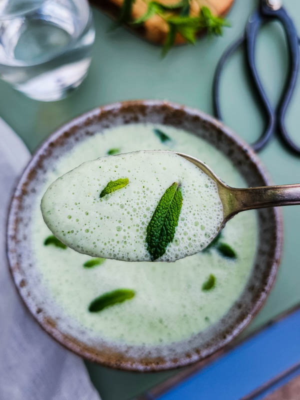 cuillère de soupe froide au concombre et à la menthe