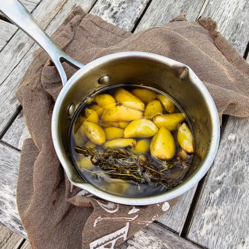 gousses d'ail cuites à la casserole dans de l'huile d'olive jusqu'à ce qu'elles soient confites